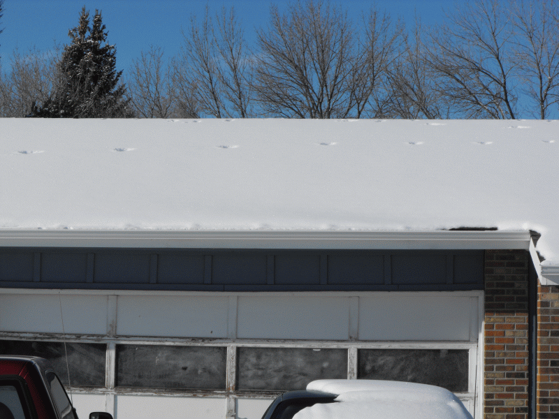 roof.gif