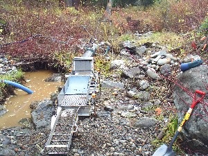 swamp3.jpg