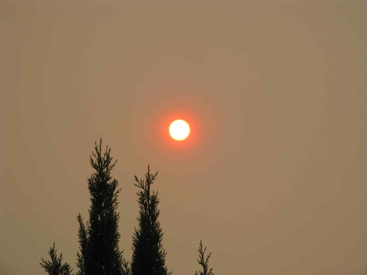 FIRES 2008 001.jpg