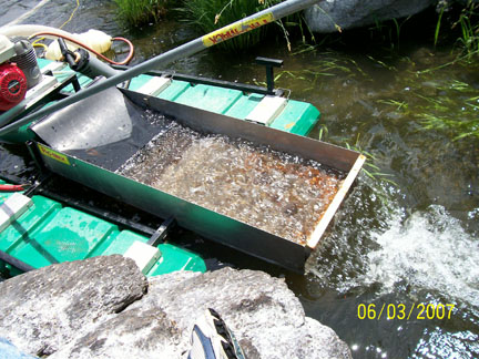 K9 sluice 6-3-07.jpg