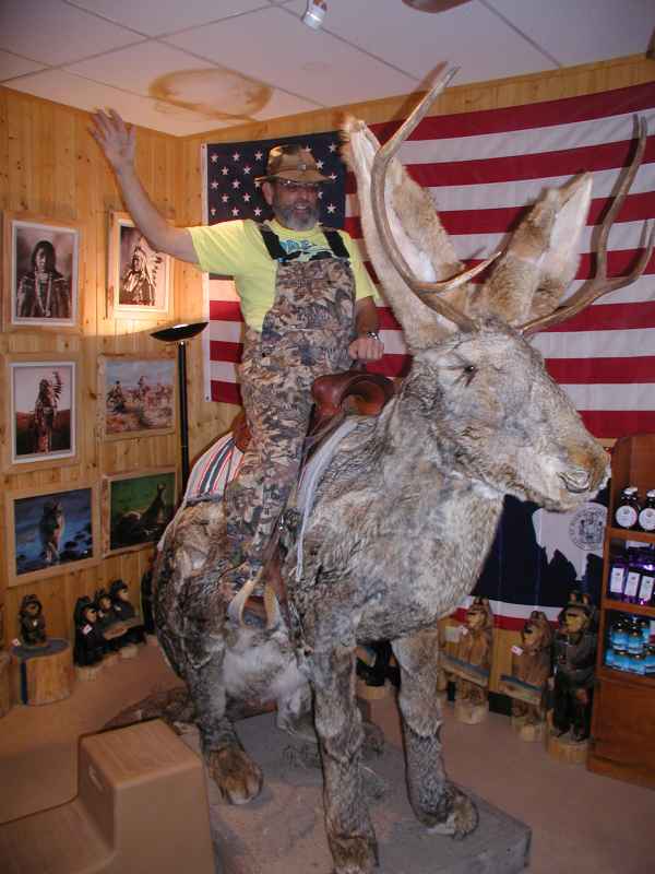geno2jackalope.jpg