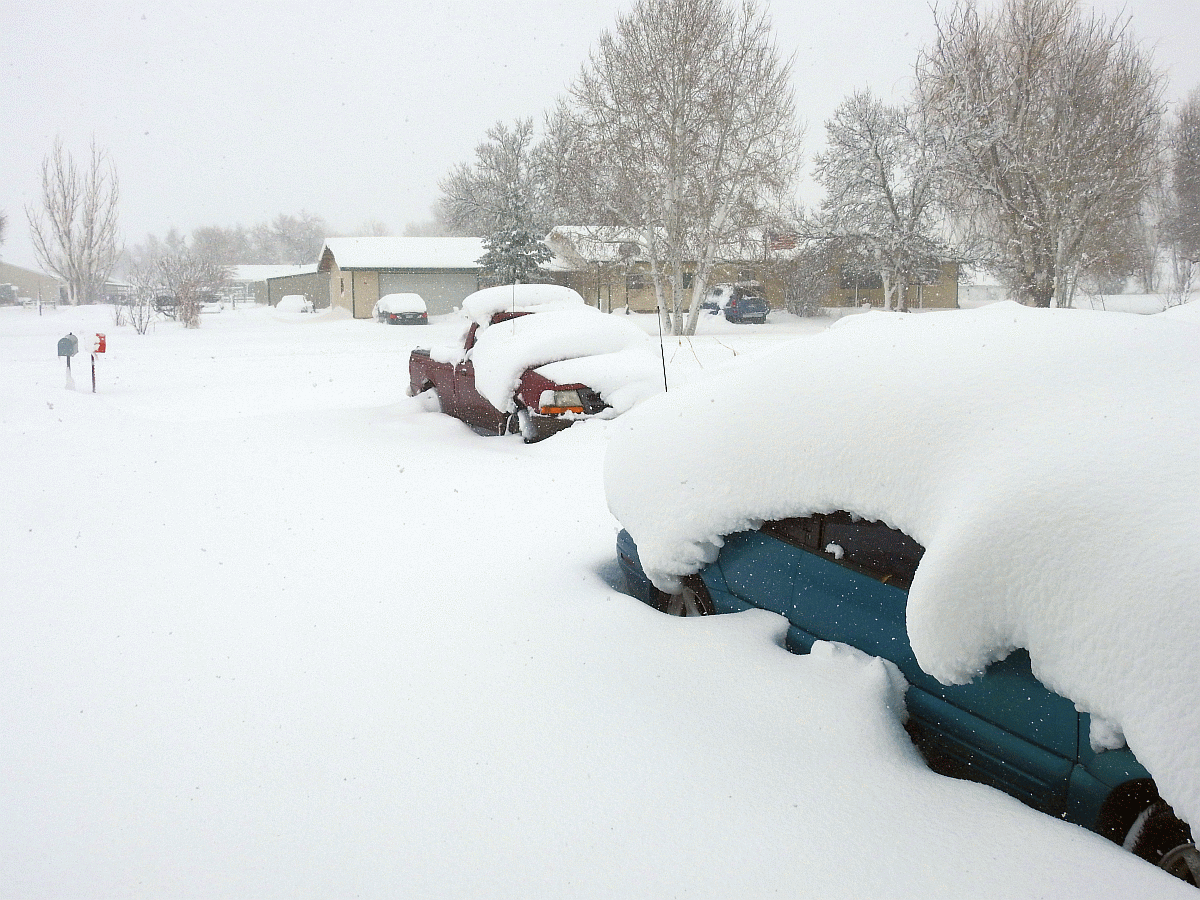 snow march1.gif