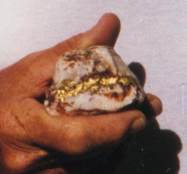 herbiesrock.jpg