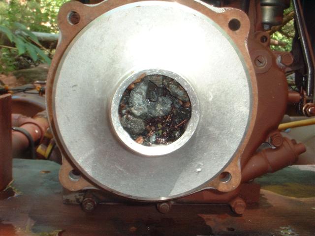 DSCF0006 (Small).JPG