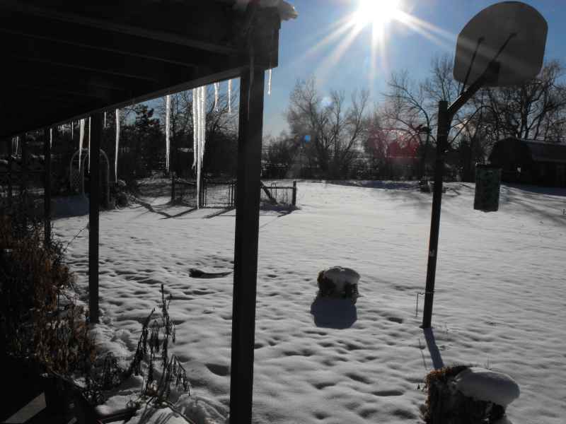 snow1.jpg