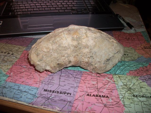mmg10.JPG