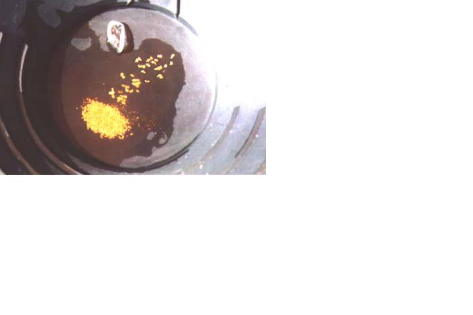 Pirate pit gold.JPG
