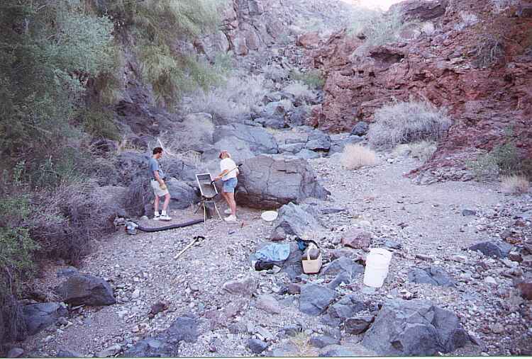 ariz29.jpg