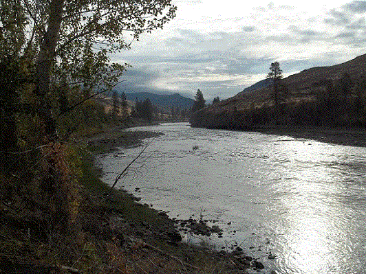 100_2174 sm.gif