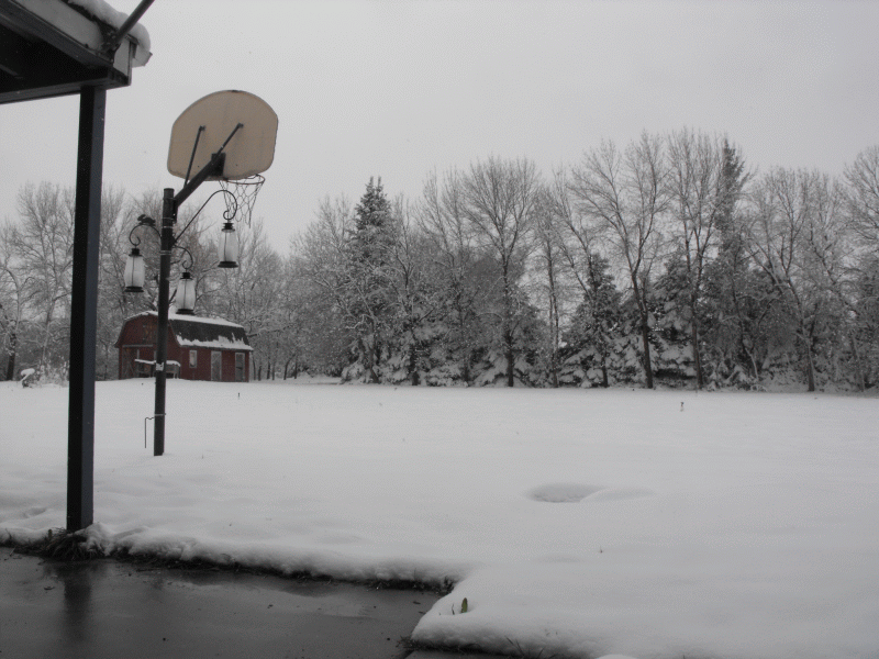 snow3.gif