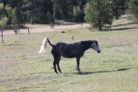 IMG_8350.JPG