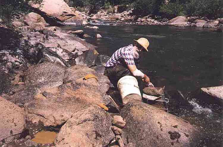 Working a sluice box