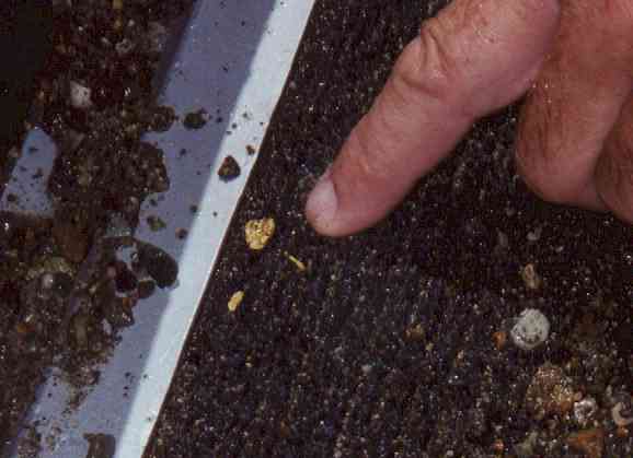 Enlarged view of nugget